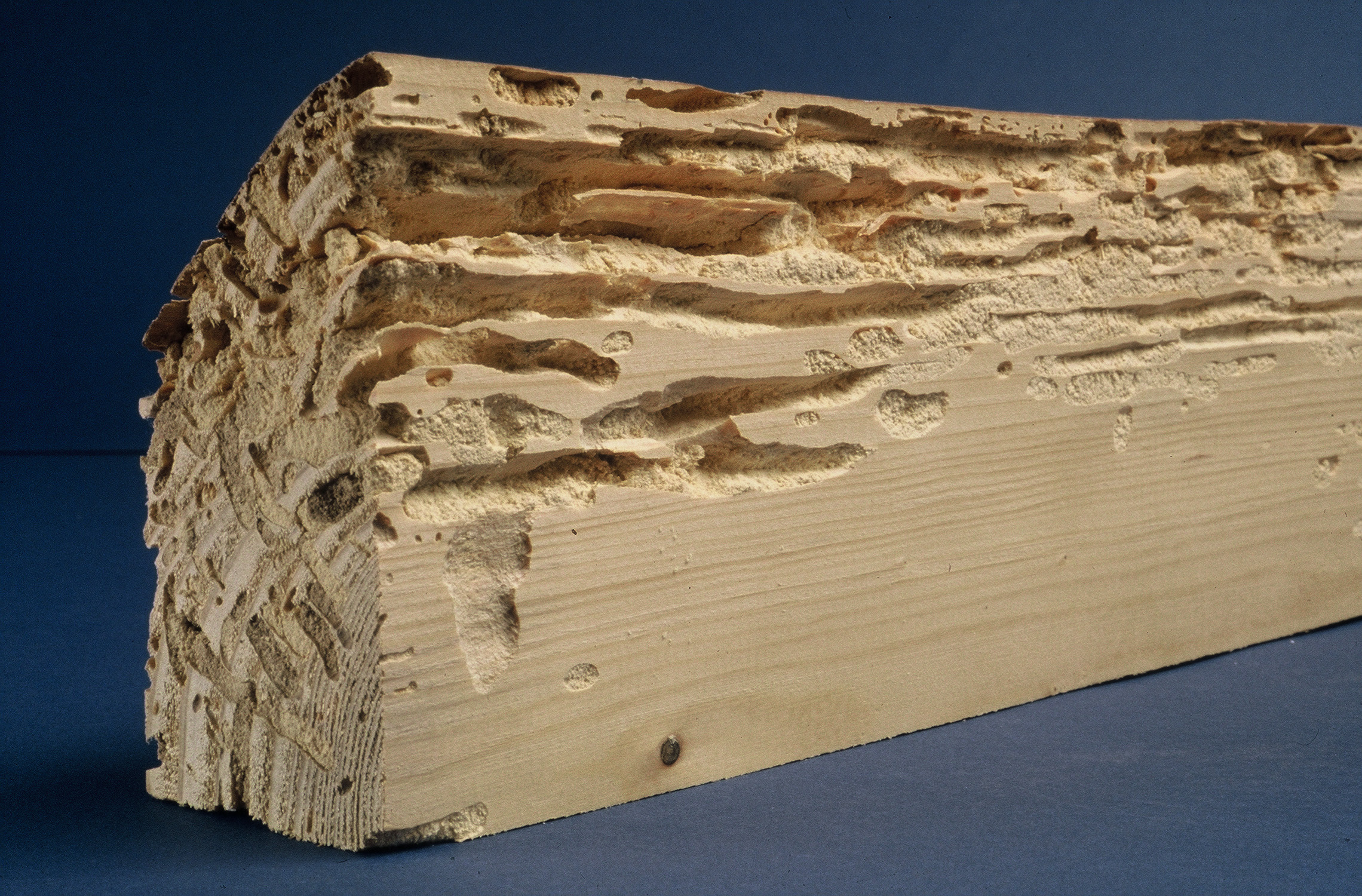 Traitement de charpente, bois à Aurillac